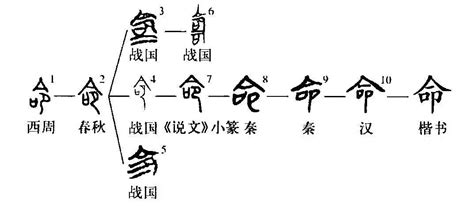 命同音字|细说汉字：命